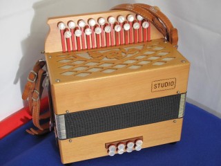 Castagnari Studio D-G button accordion